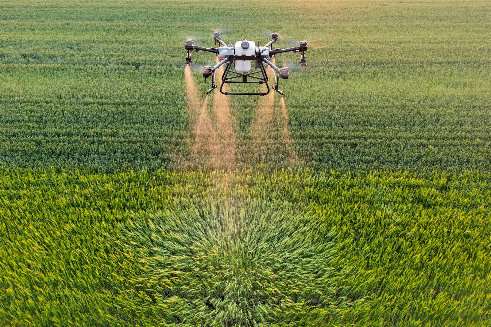 Drone ikinyunyizia shamba la kijani
