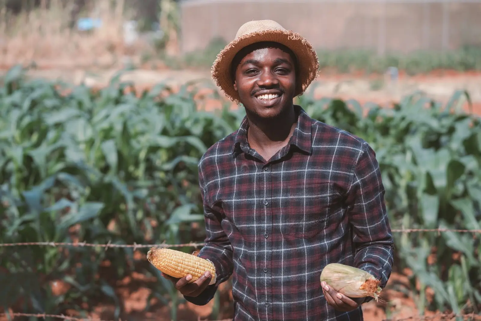 A farmer standing in his field
