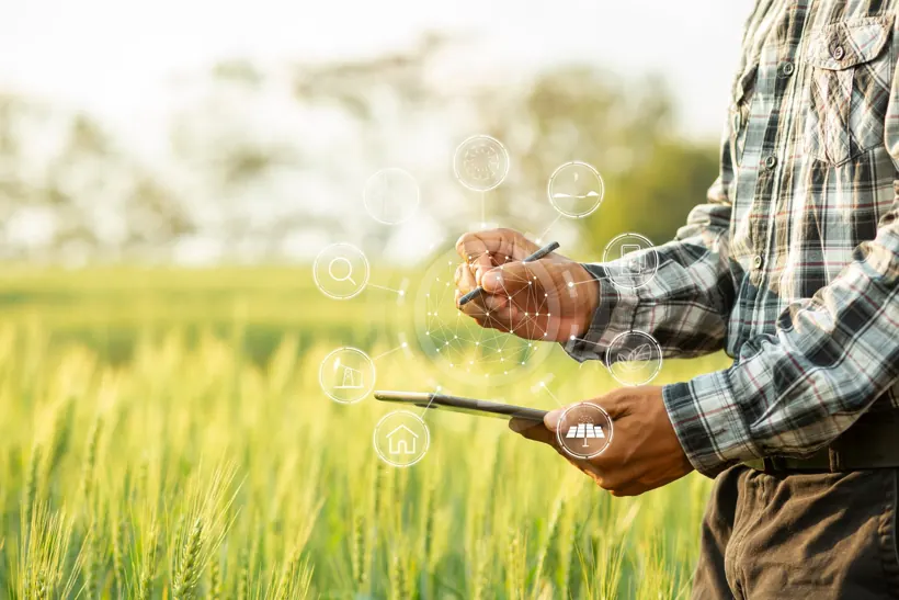 Hands using a smartphone